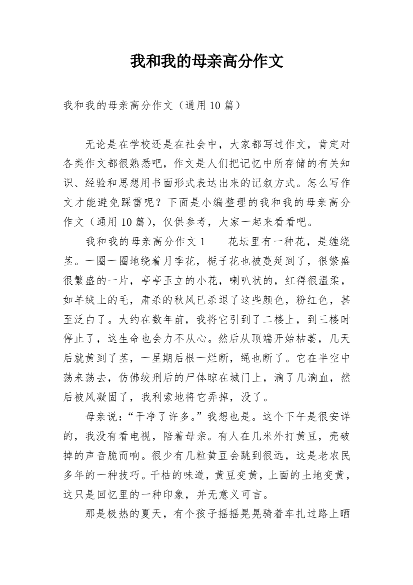 我和我的母亲高分作文