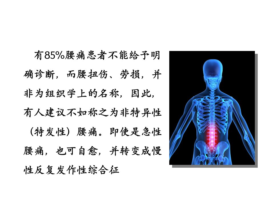 体育教师培训课件：腰部肌肉训练