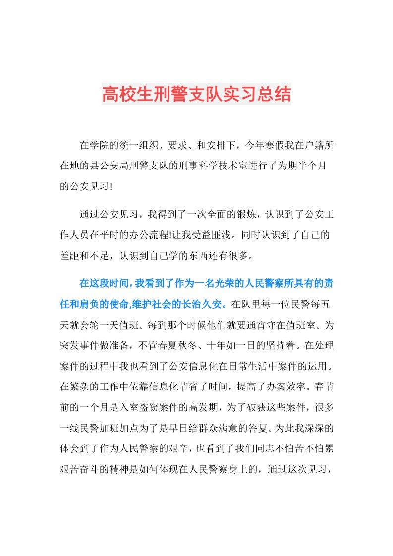 高校生刑警支队实习总结