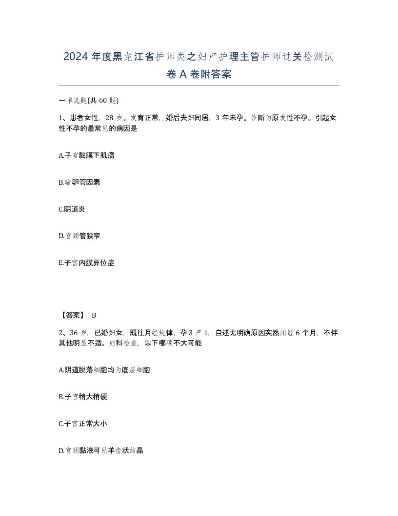 2024年度黑龙江省护师类之妇产护理主管护师过关检测试卷A卷附答案