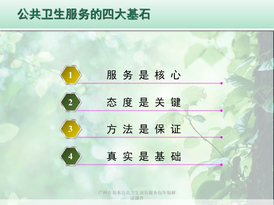 广州市基本公共卫生项目服务包年版解读课件