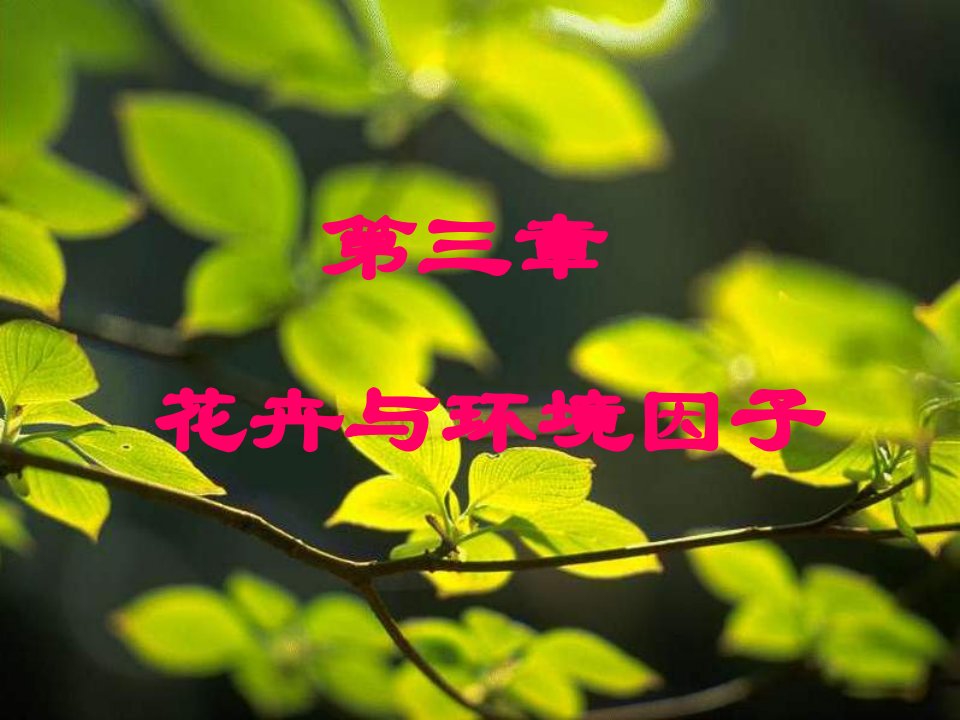 《h花卉与环境因子》PPT课件