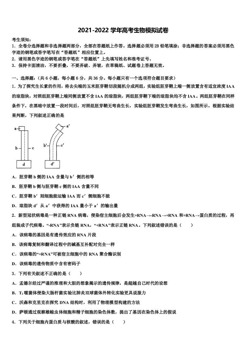 2022届舟山市重点中学高三一诊考试生物试卷含解析