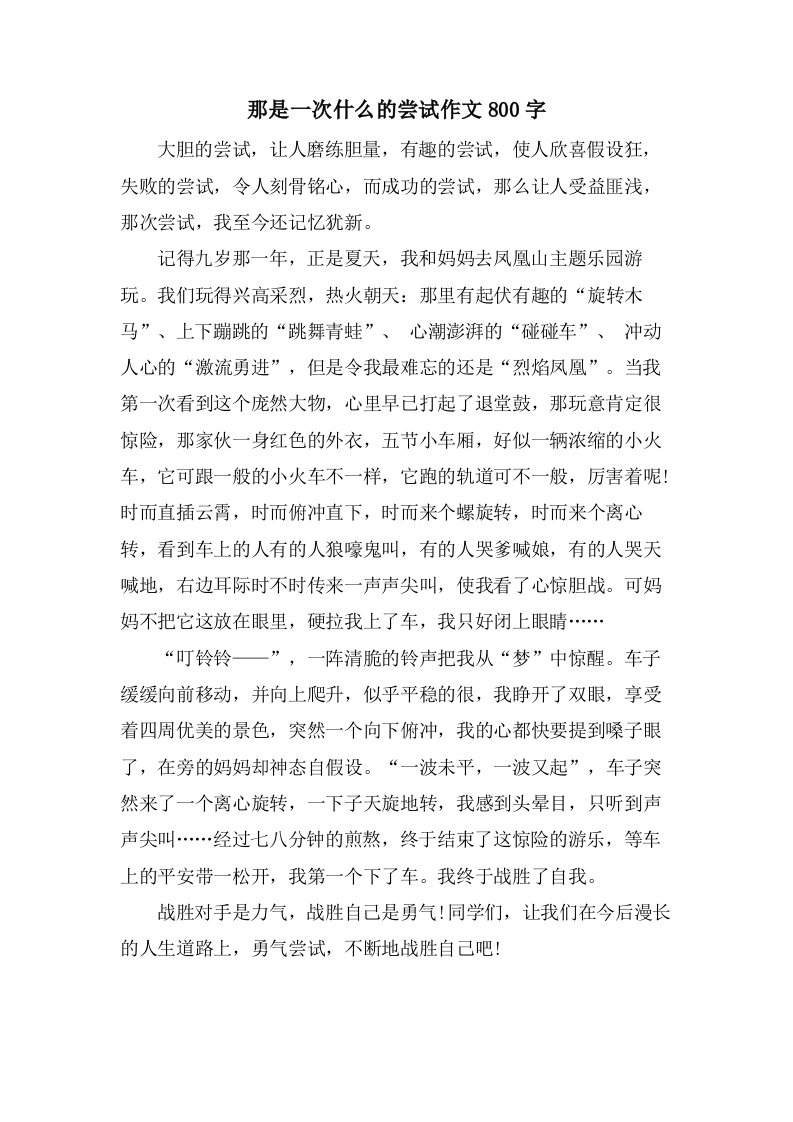 那是一次什么的尝试作文800字