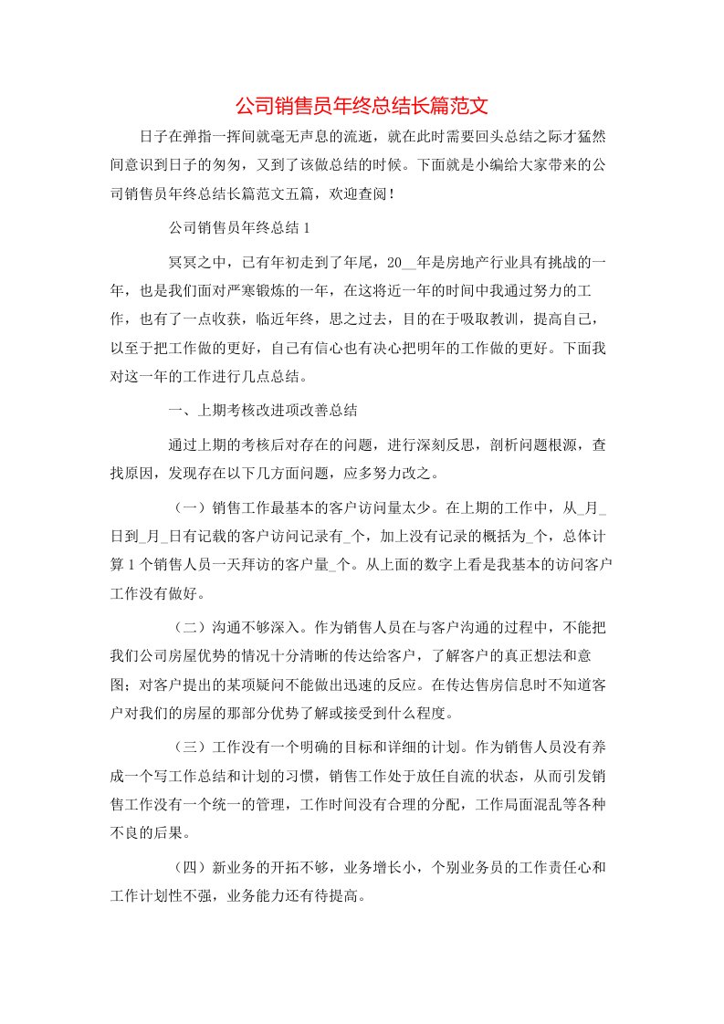 公司销售员年终总结长篇范文