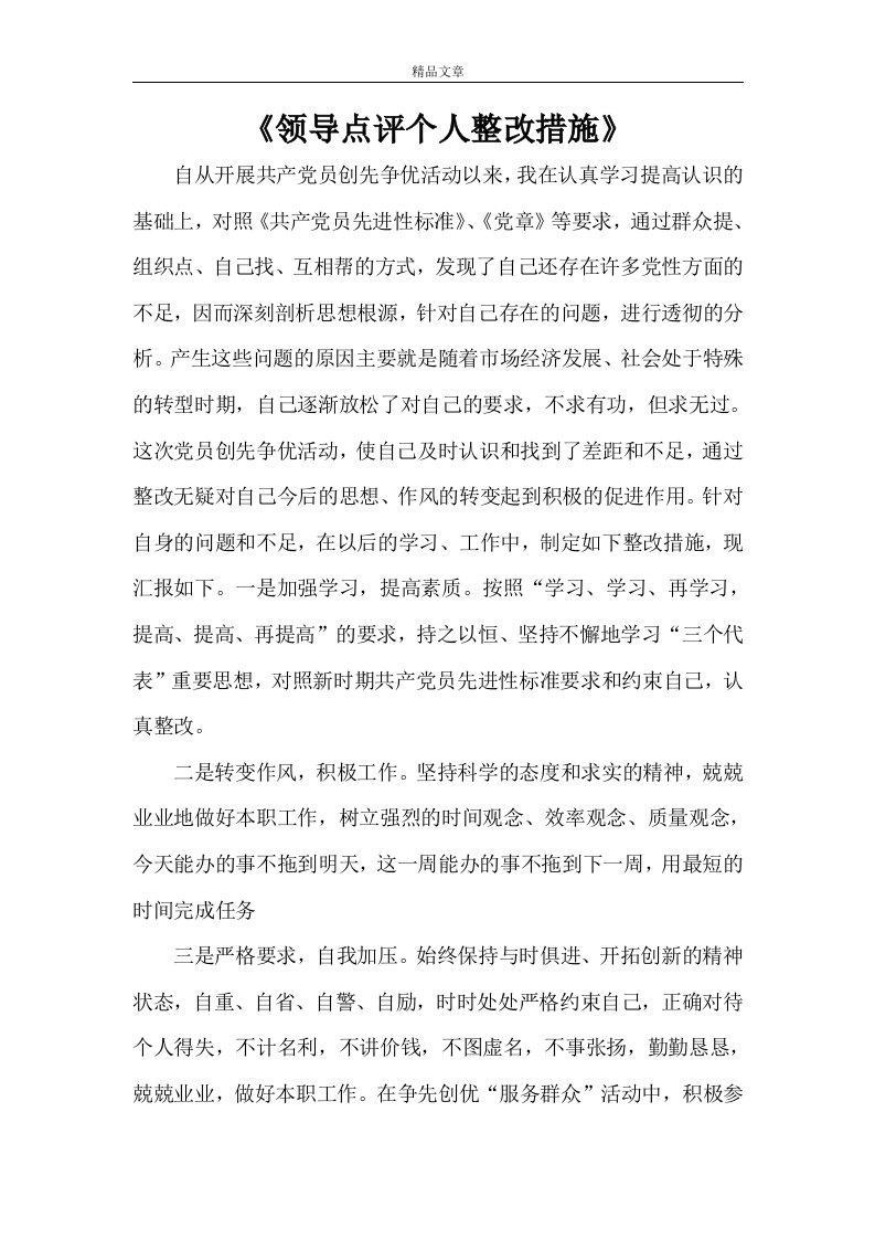 《领导点评个人整改措施》