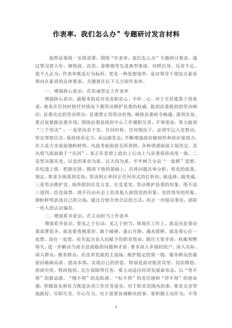 作表率，我们怎么办”专题研讨发言材料