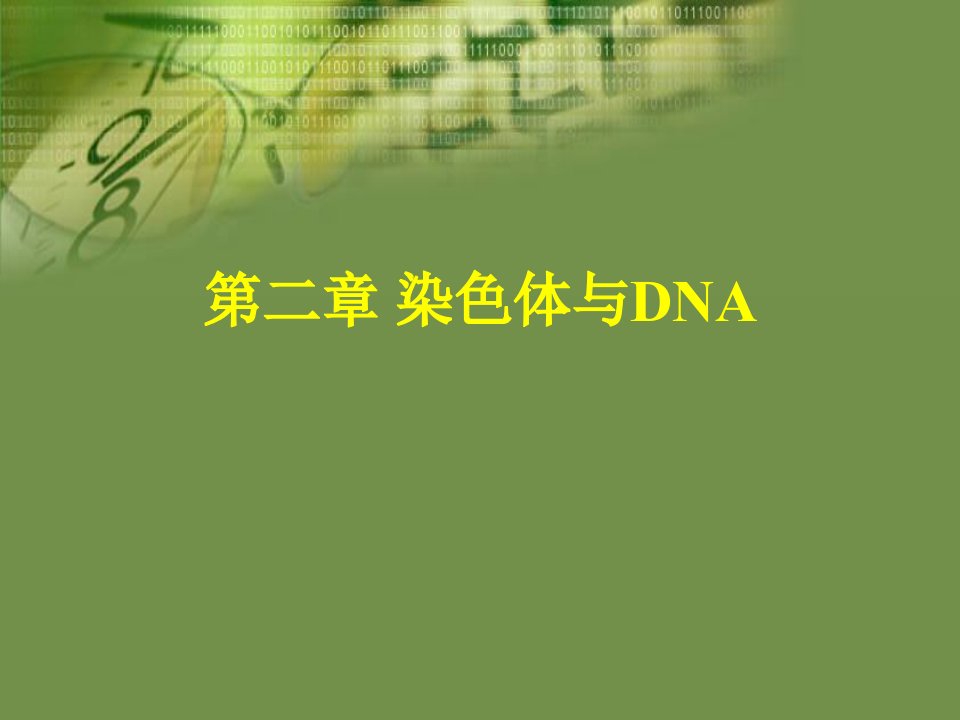 分子生物学课件3