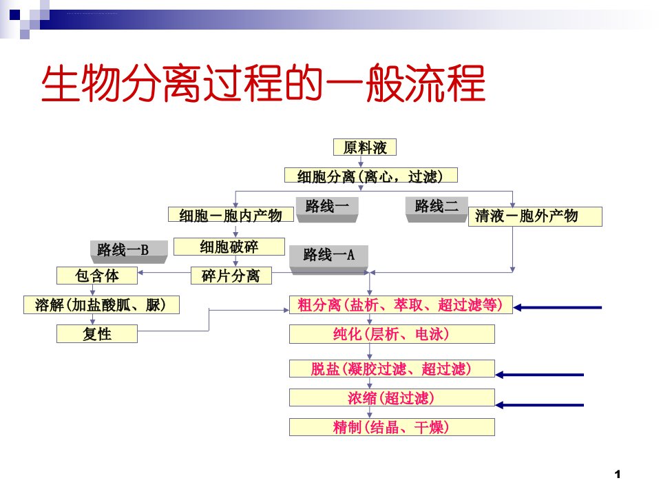 第六章膜分离过程ppt课件