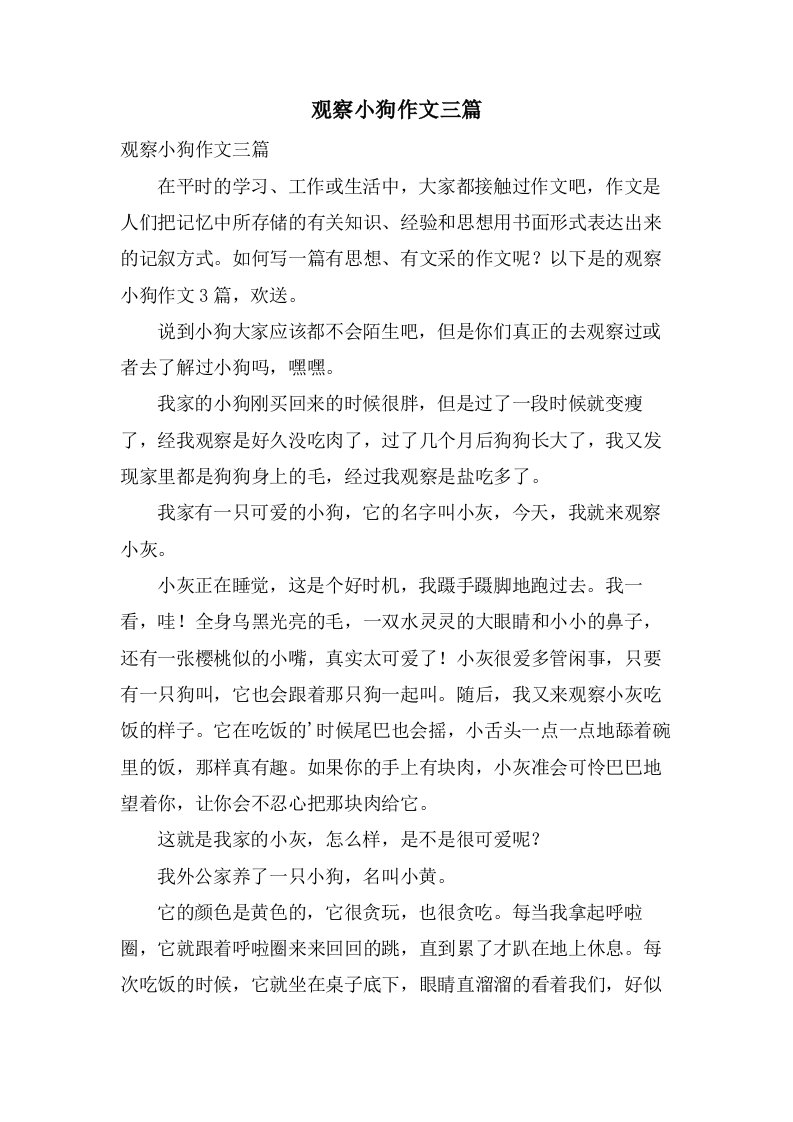 观察小狗作文三篇