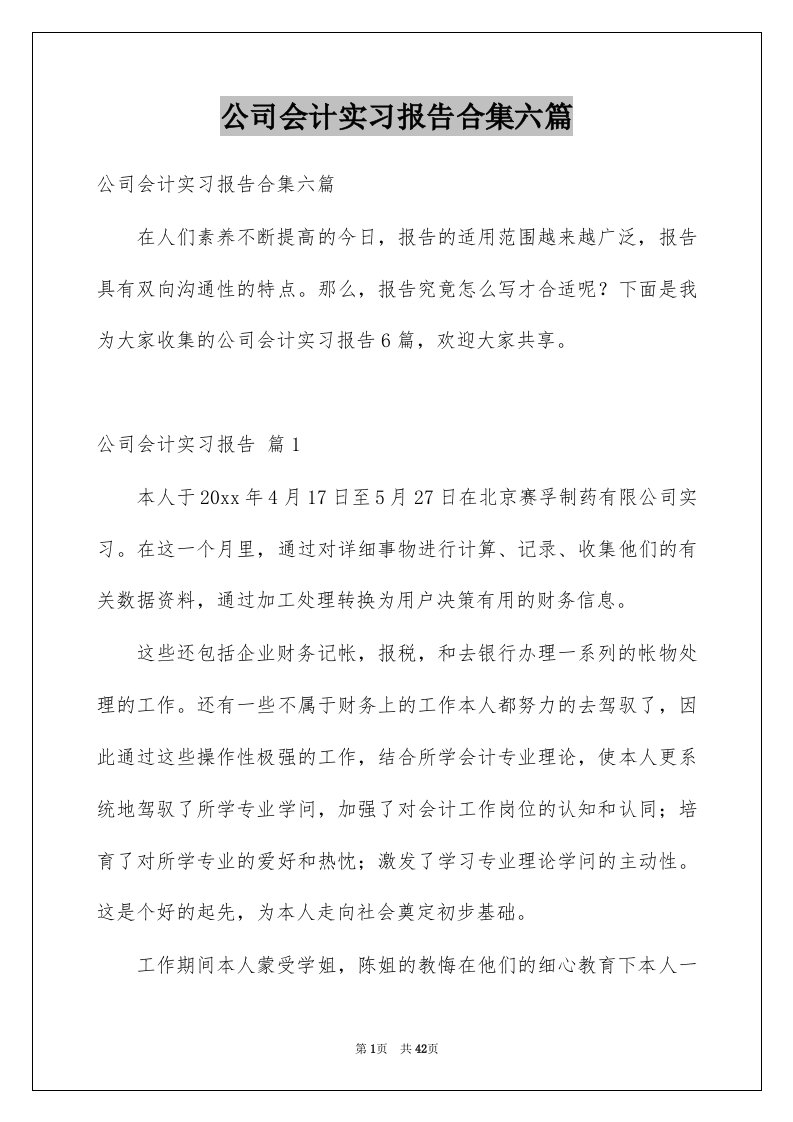 公司会计实习报告合集六篇