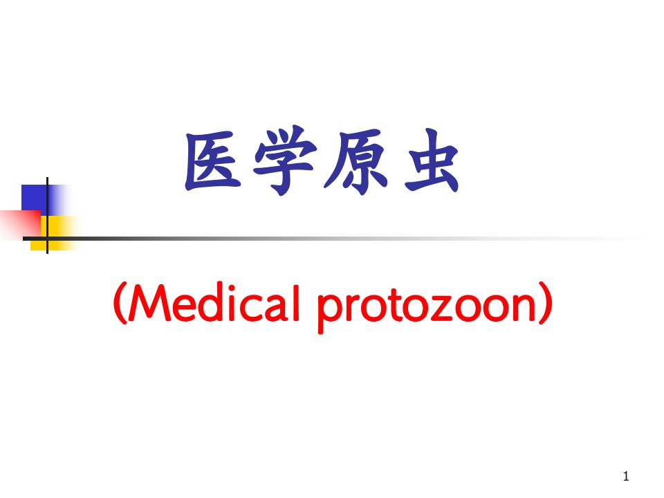 医学原虫.PPT