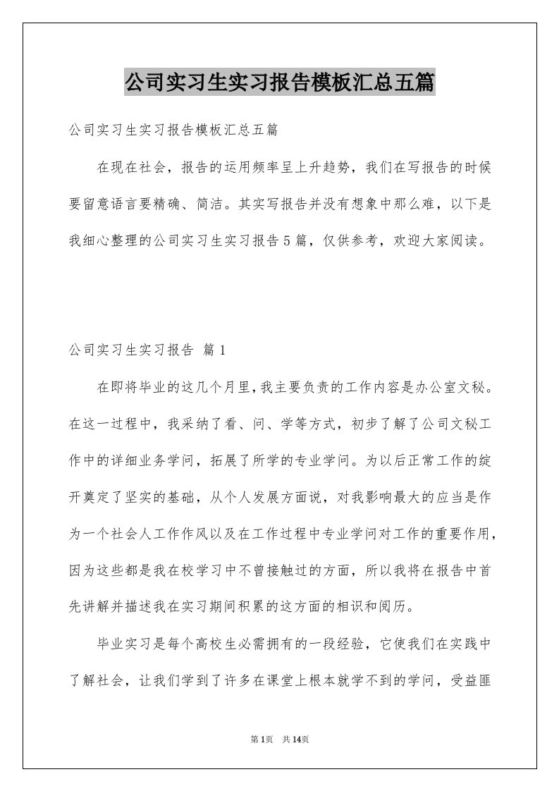 公司实习生实习报告模板汇总五篇