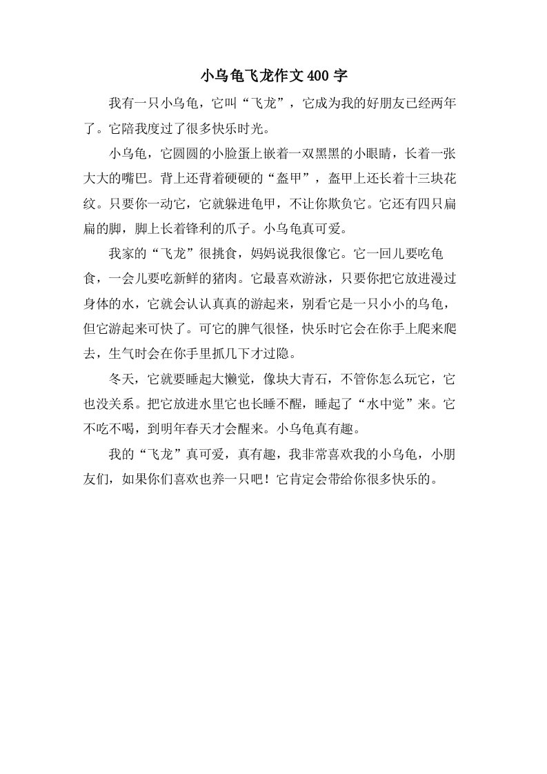 小乌龟飞龙作文400字