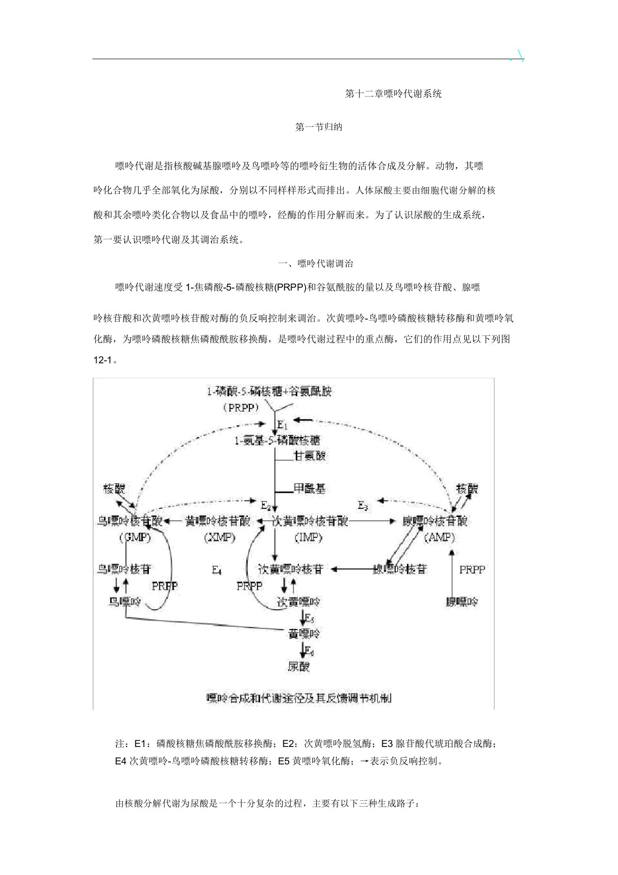 嘌呤代谢最终版材料