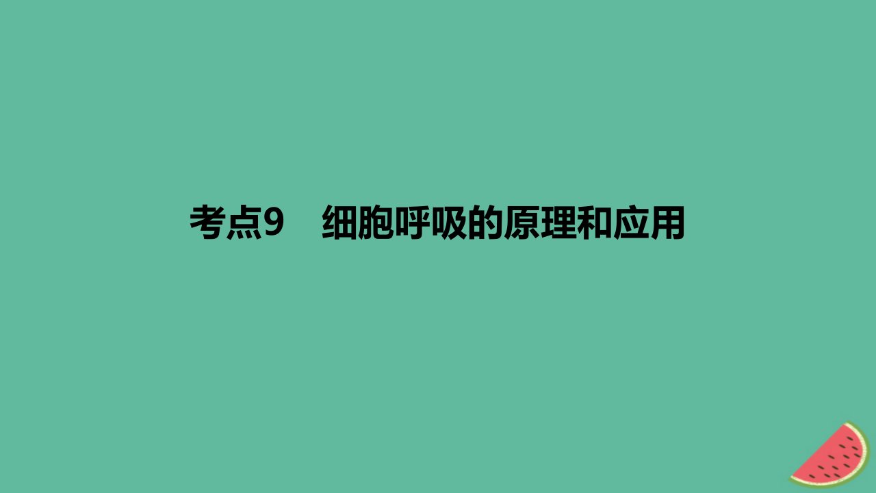 2024版高考生物一轮复习专题基础练专题三细胞的能量供应和利用考点9细胞呼吸的原理和应用作业课件