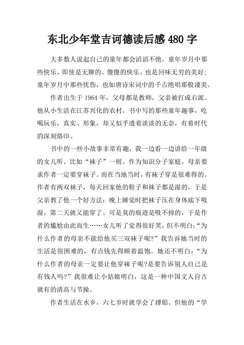 东北少年堂吉诃德读后感480字