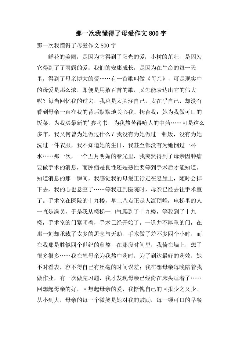 那一次我懂得了母爱作文800字