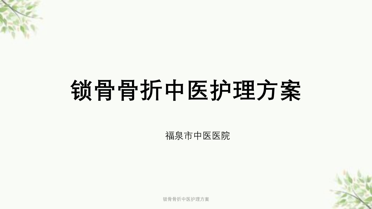 锁骨骨折中医护理方案