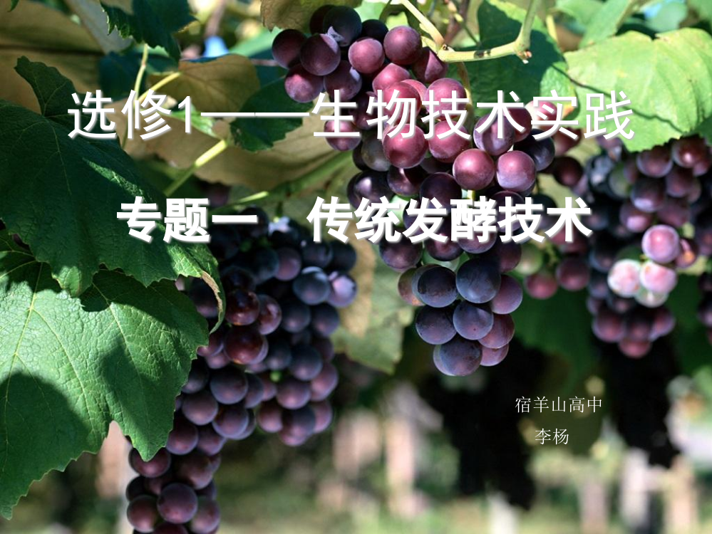 选修1——发酵技术实践果酒果醋腐乳ppt课件