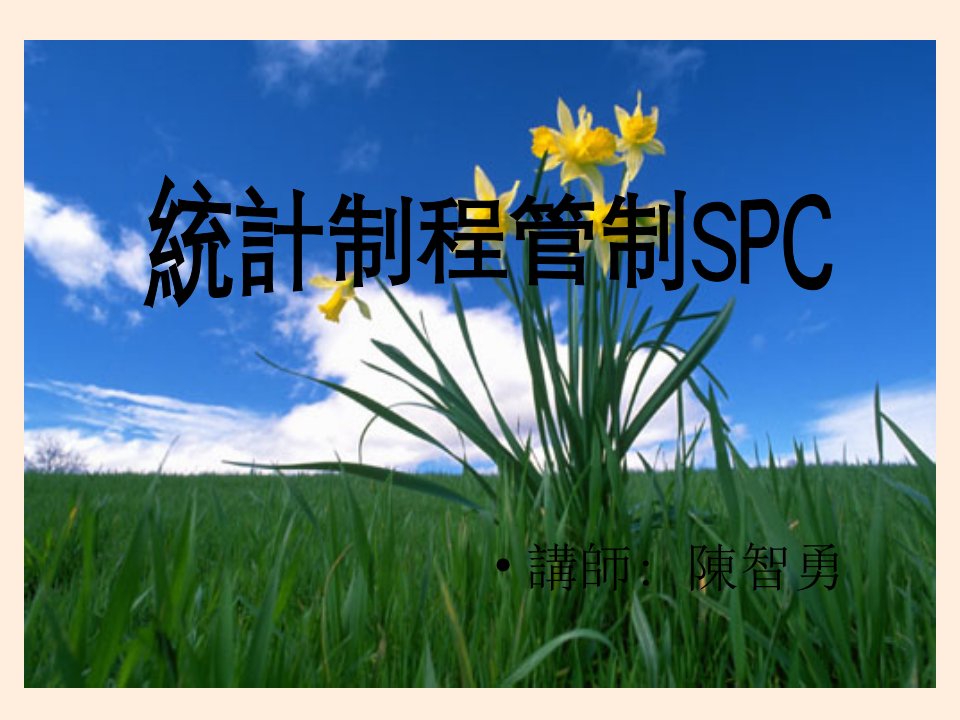 SPC教程(陈智勇)