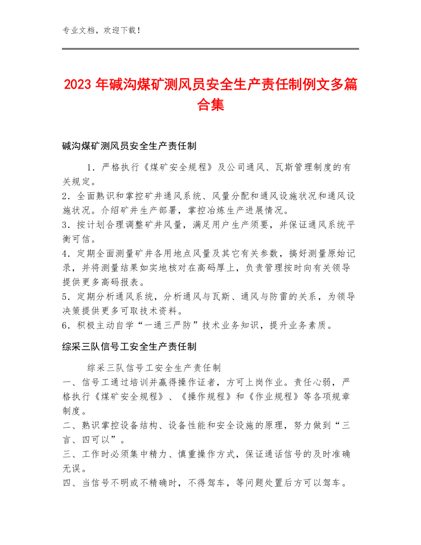 2023年碱沟煤矿测风员安全生产责任制例文多篇合集