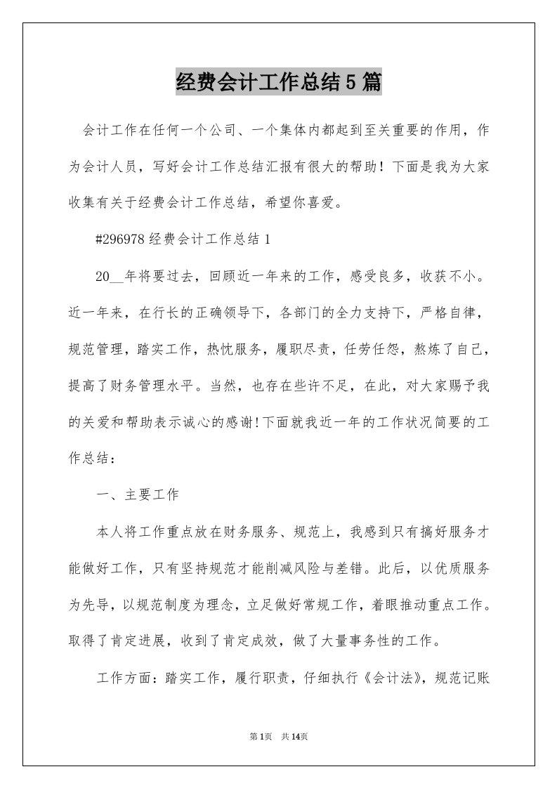 经费会计工作总结5篇