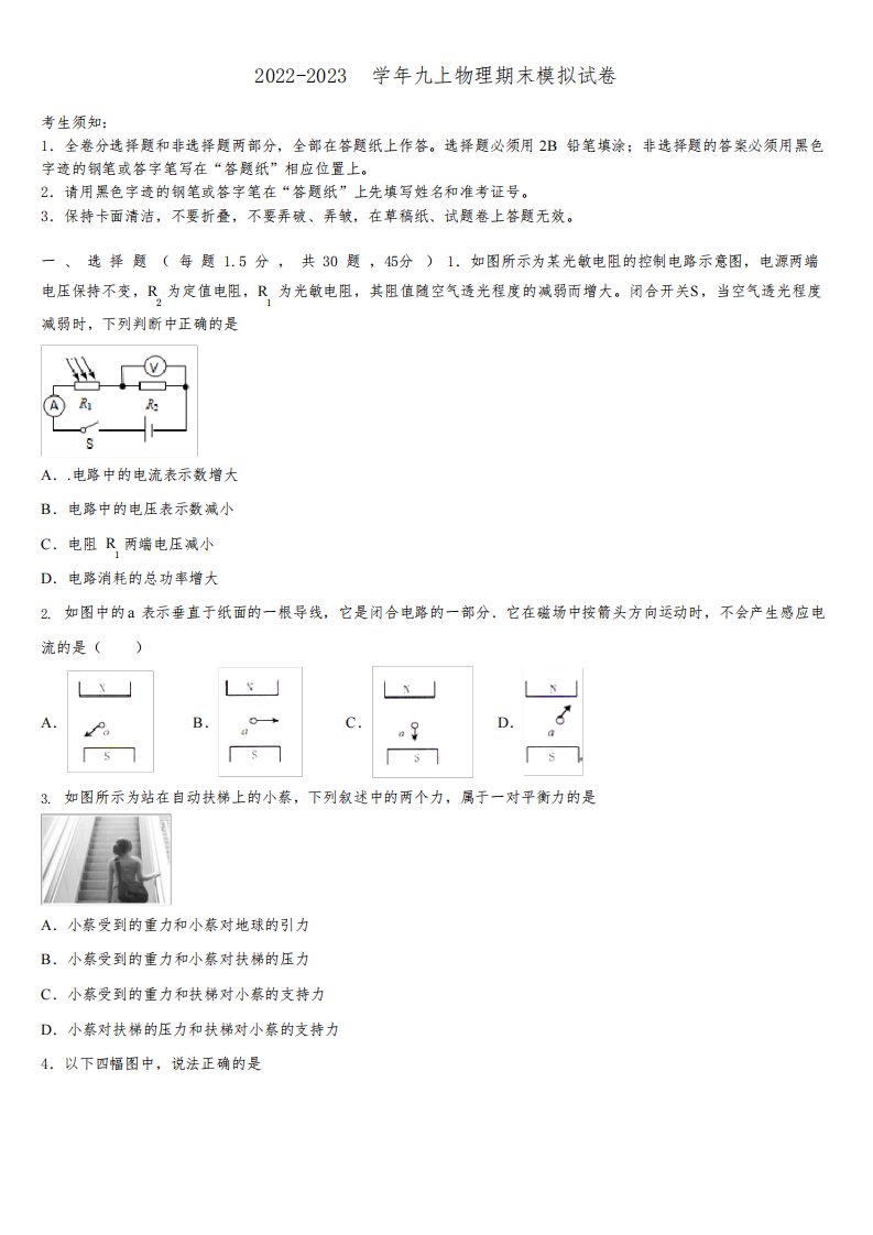 2022年广东省深圳市高级中学物理九年级第一学期期末达标测试试题含解析