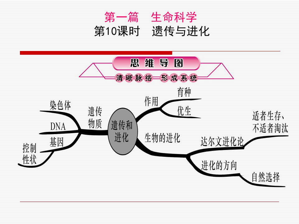 《时遗传与进化》PPT课件