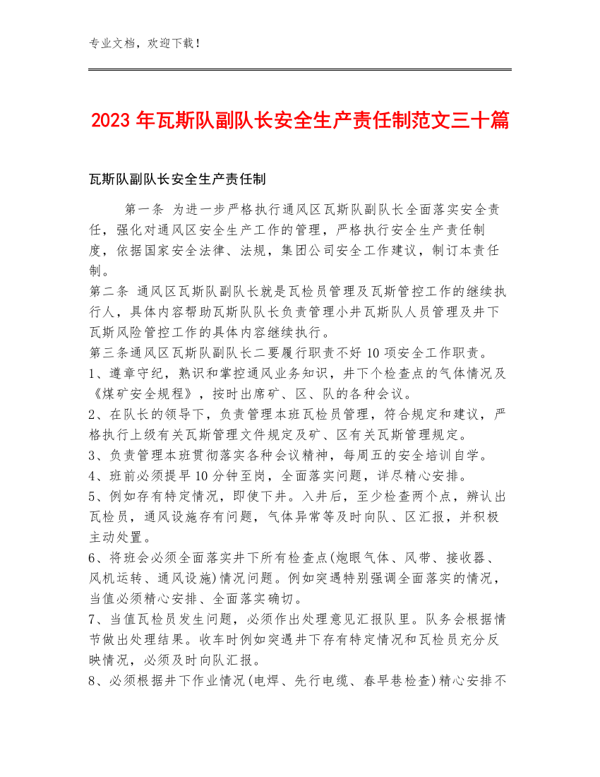 2023年瓦斯队副队长安全生产责任制范文三十篇