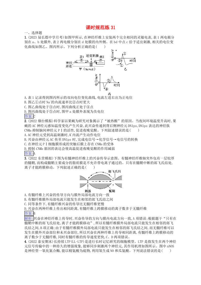 适用于新教材2024版高考生物一轮总复习课时规范练31神经冲动的产生传导和传递新人教版