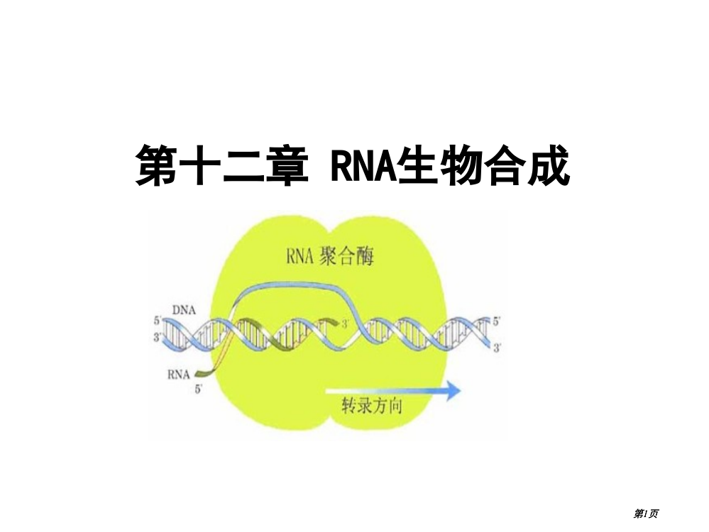 生物化学RNA的生物合成公开课一等奖优质课大赛微课获奖课件