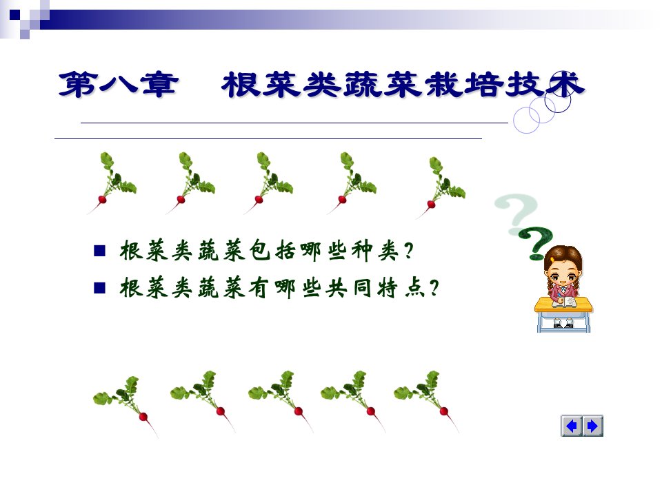 根菜类蔬菜栽培技术