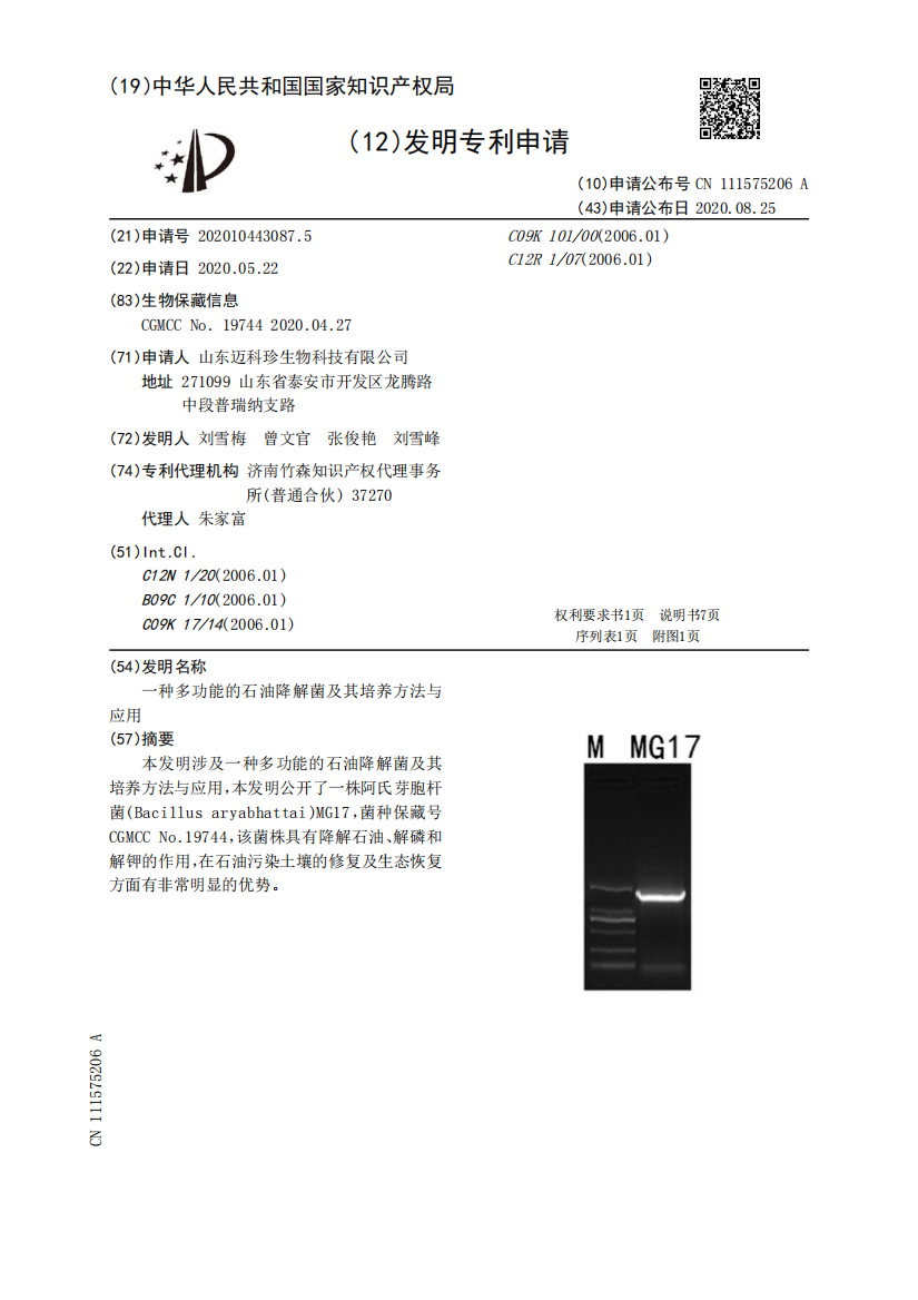 一种多功能的石油降解菌及其培养方法与应用