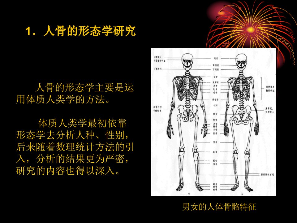 第五章古代人骨的研究