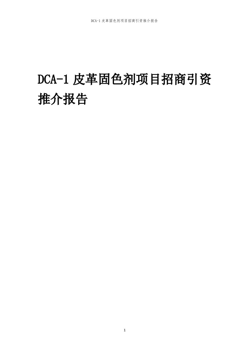 2023年DCA-1皮革固色剂项目招商引资推介报告