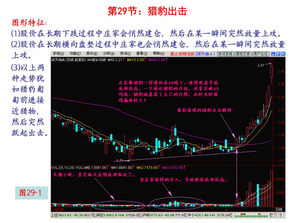 《猎豹出击》PPT课件