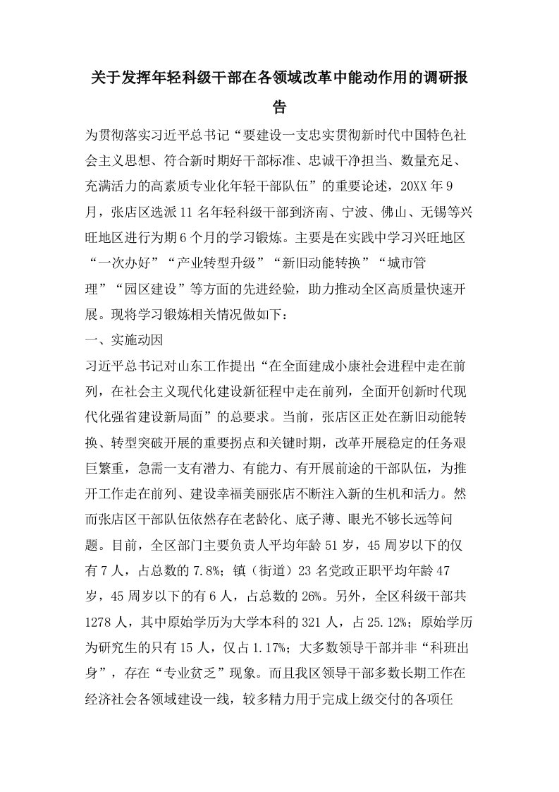 关于发挥年轻科级干部在各领域改革中能动作用的调研报告