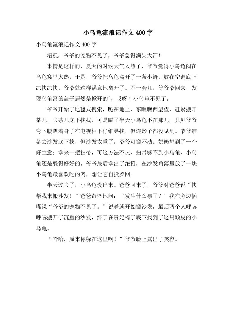 小乌龟流浪记作文400字