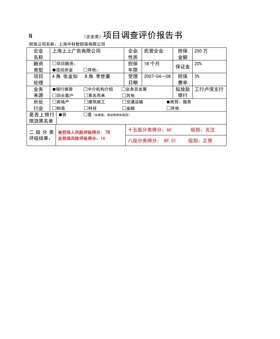 项目调查评价报告书中科智担保