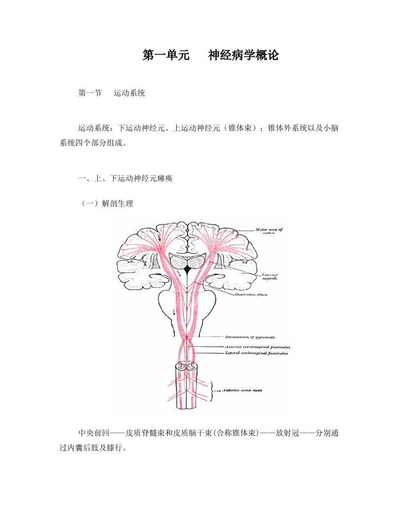 神经病学第七版