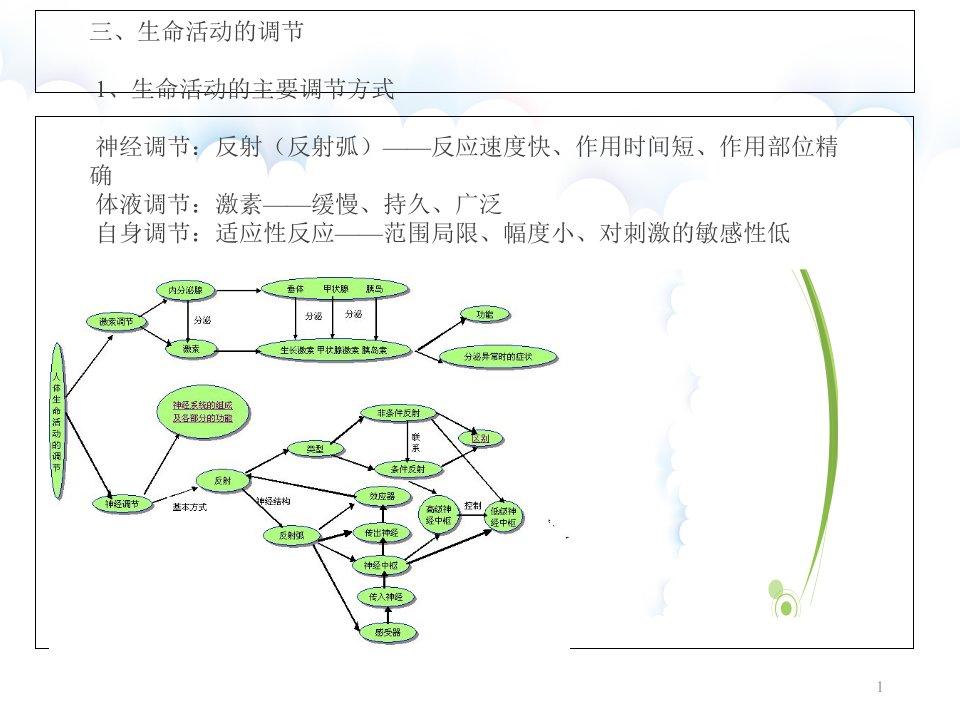 人体及动物生理学chapter绪论