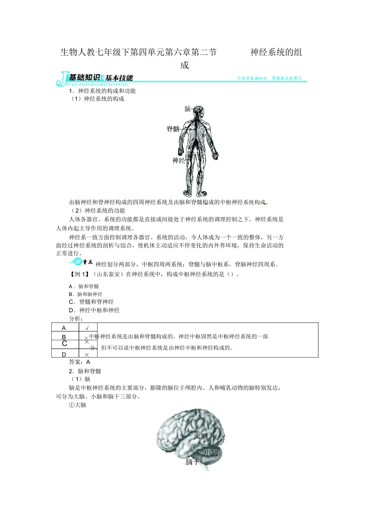 初中七年级生物练习题下神经系统的组成