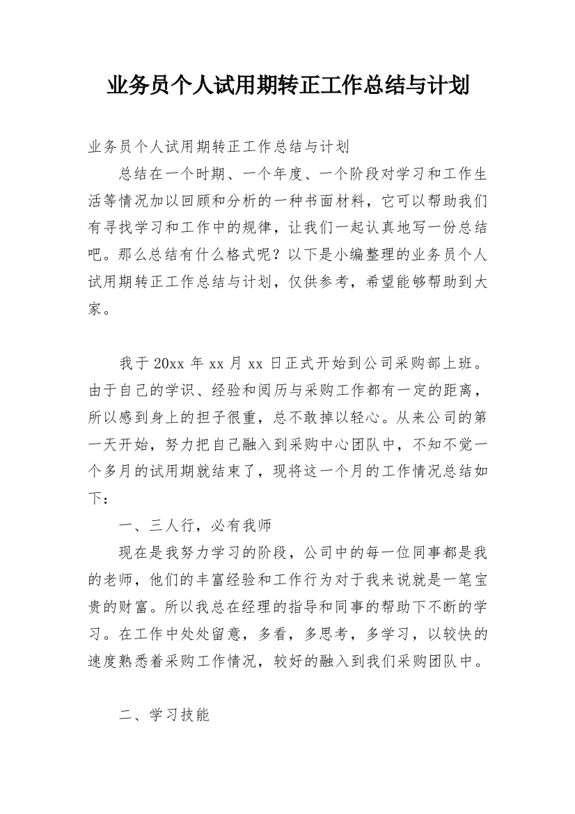 业务员个人试用期转正工作总结与计划