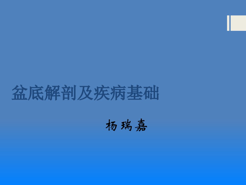 盆底解剖及疾病基础