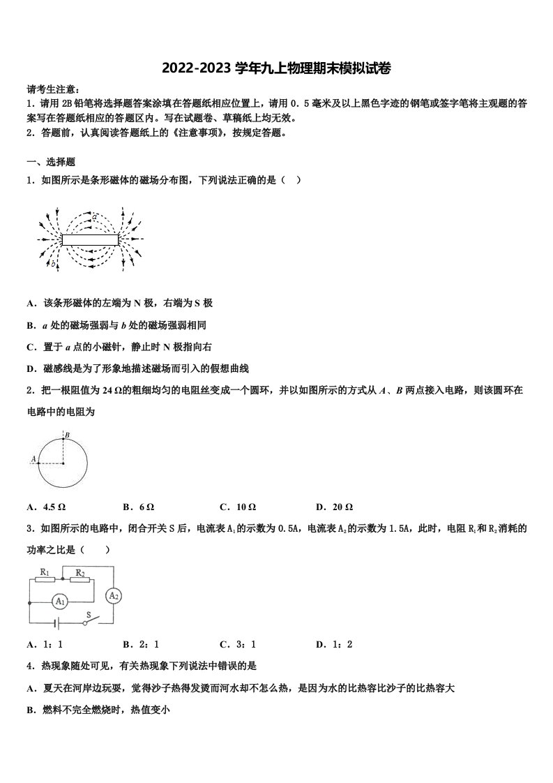 北京市朝阳区2022年九年级物理第一学期期末学业质量监测模拟试题含解析