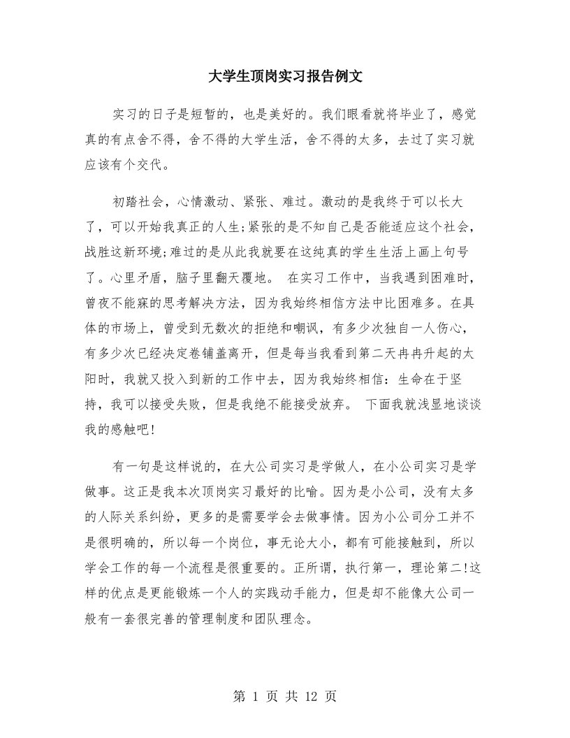 大学生顶岗实习报告例文