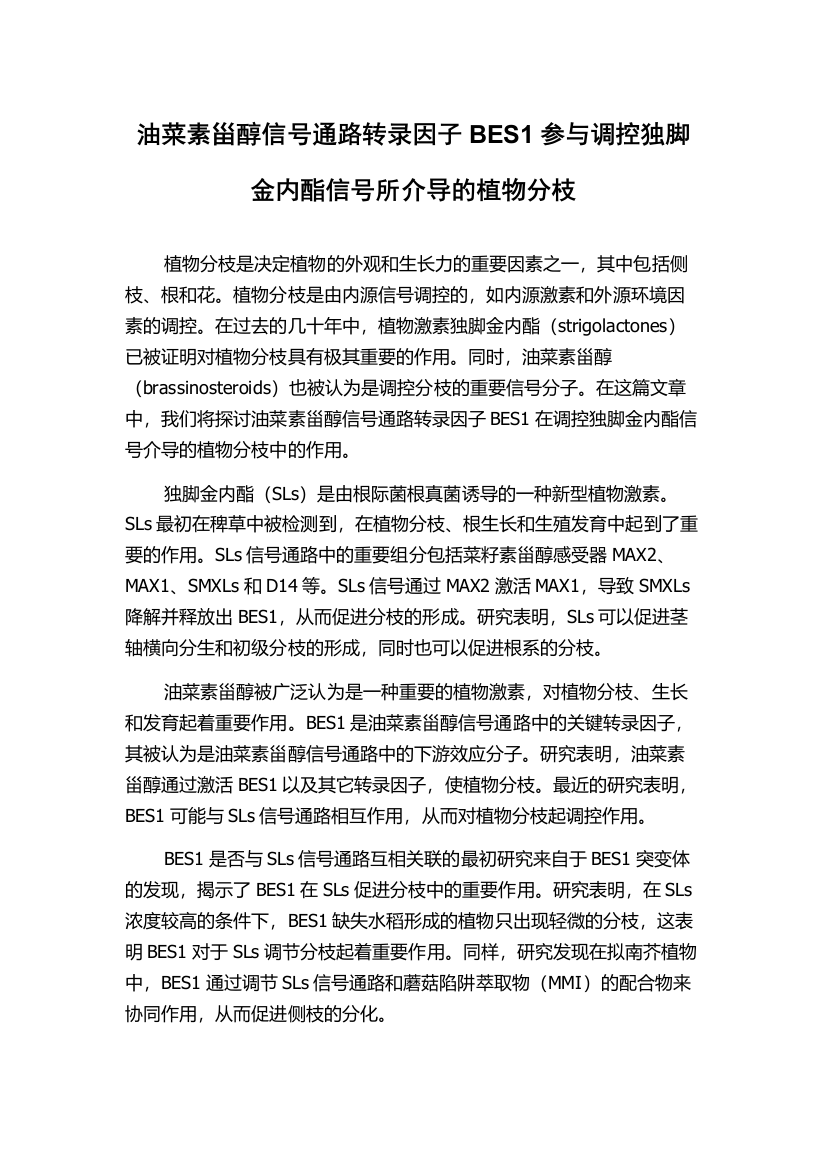 油菜素甾醇信号通路转录因子BES1参与调控独脚金内酯信号所介导的植物分枝