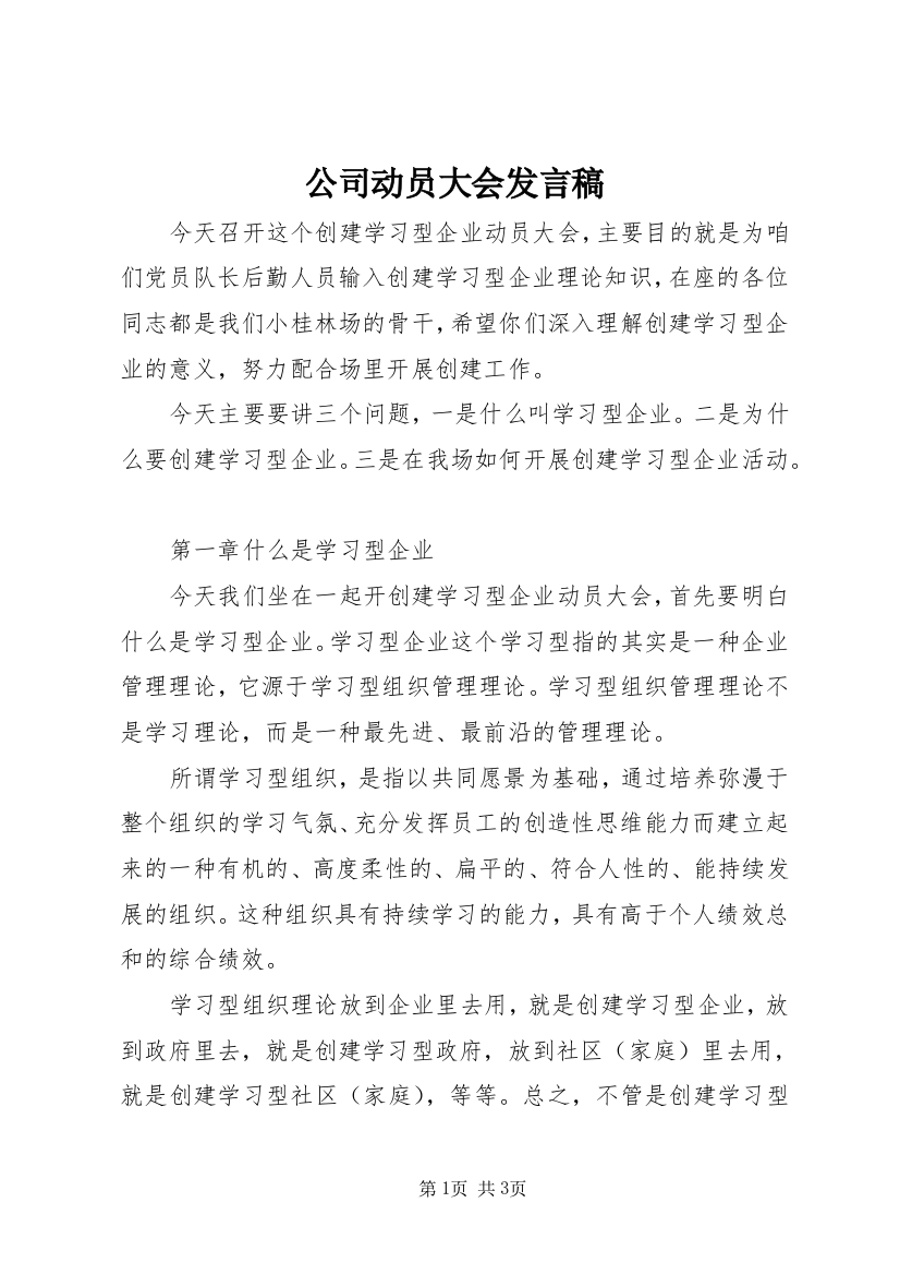 公司动员大会发言稿