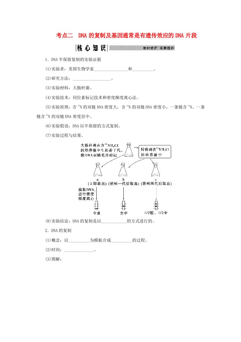 2025届高考生物一轮总复习学生用书必修2第六单元遗传的物质基础第28讲DNA的结构复制及基因的本质考点二DNA的复制及基因通常是有遗传效应的DNA片段